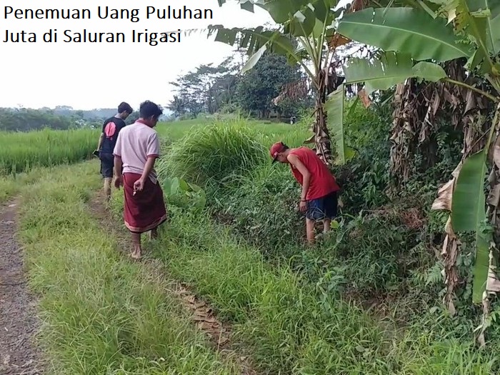 Penemuan Uang Puluhan Juta di Saluran Irigasi