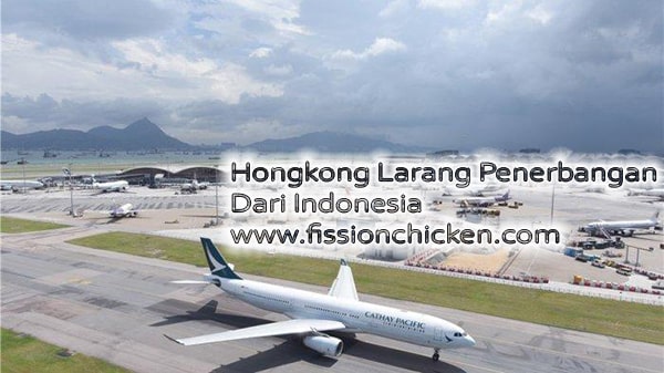 Hongkong Larang Penerbangan dari Indonesia