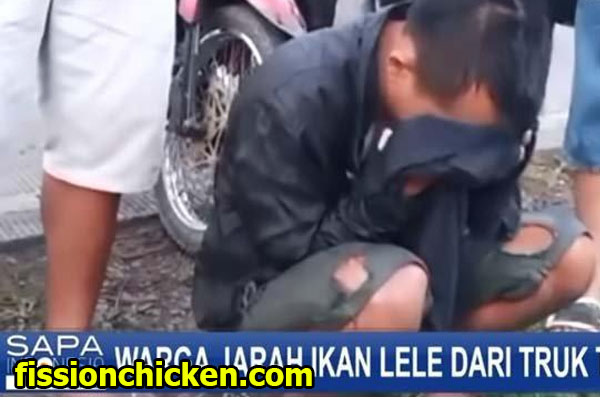 Penjarahan Lele Dalam Kecelakaan